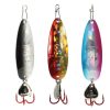 Clam Pro Tackle Clam Outdoors | Ribbon Leech Flutter Spoon Kit